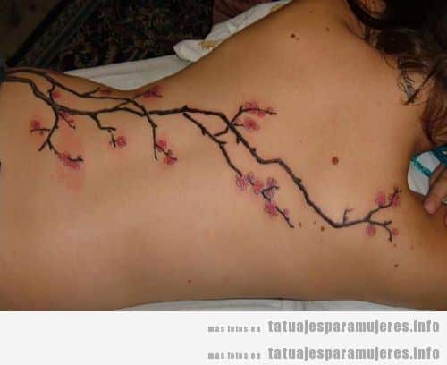 Tatuaje rama cerezo en flor en la espalda