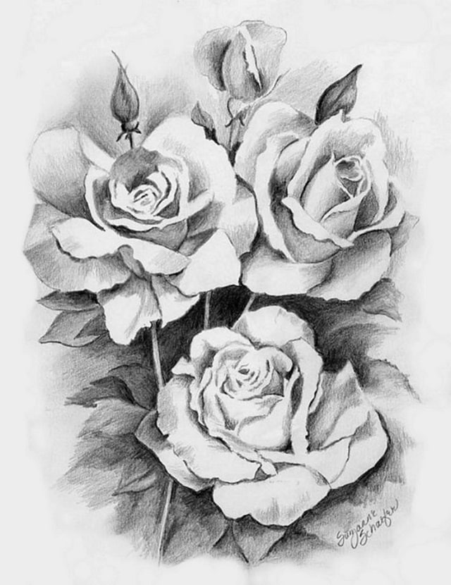 Dibujos a lápiz para tatuajes, rosas