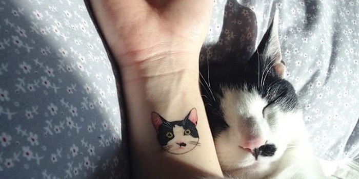 Tatuaje mascota gato gracioso