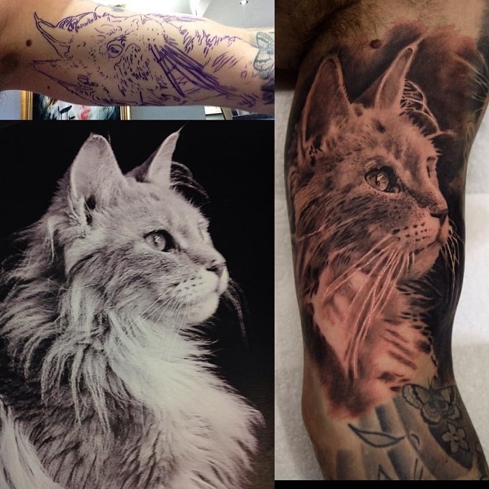 Tatuaje mascota gato realista